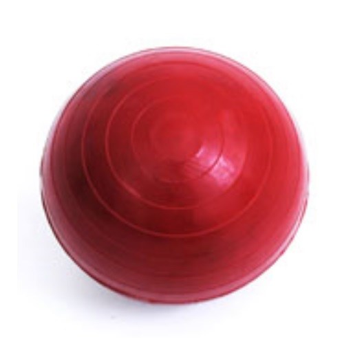 Junior PVC Shot Put
