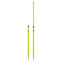 Load image into Gallery viewer, Telescopic Agility Poles with Fixed Metal Spike Set of 12
