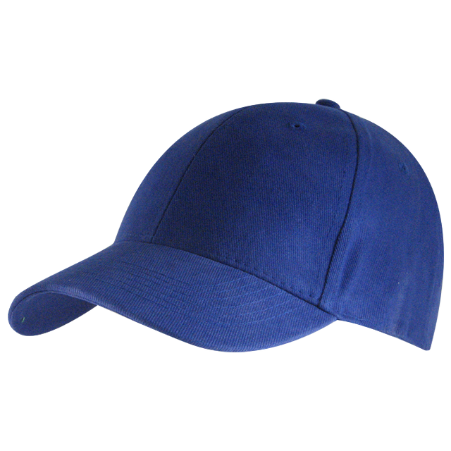 6 Panel Brushed Cotton Cap